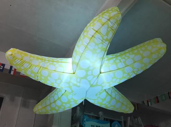 Inflatable Starfish Inflatable Starfish
