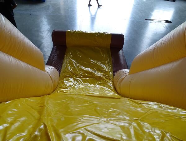 Princess Carriage Bouncy Castle 9